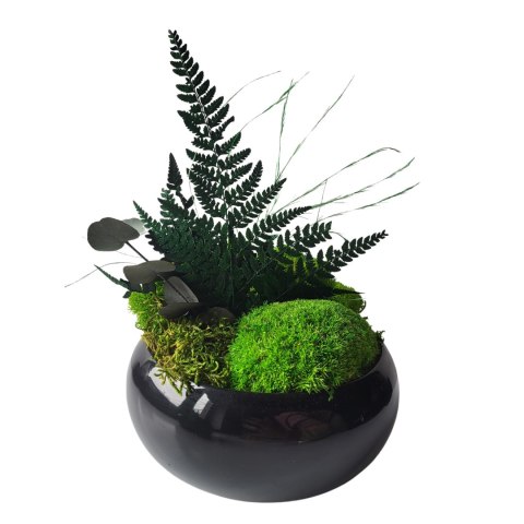 Doniczka z mchem i roślinami stabilizowanymi
