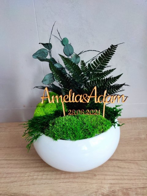 Doniczka z mchem i roślinami stabilizowanymi