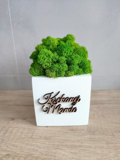 Drewniana doniczka z mchem chrobotkiem