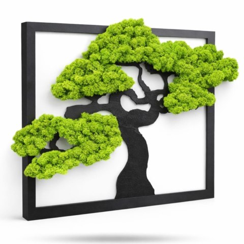 Drzewko bonsai z chrobotka 