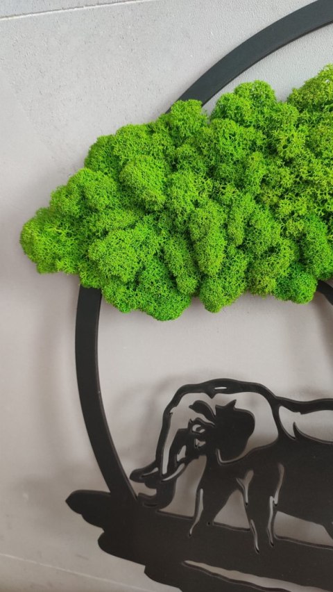 Drzewko szczęścia z mchem chrobotkiem, słonie