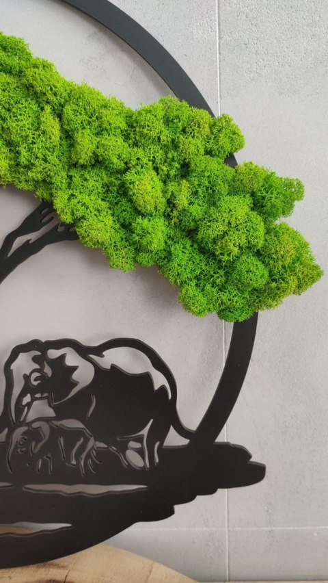 Drzewko szczęścia z mchem chrobotkiem, słonie