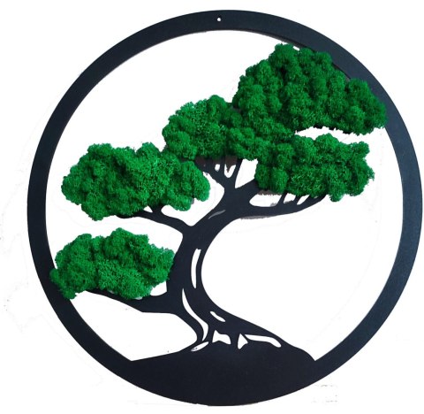 Drzewo Bonsai z mchem chrobotkiem