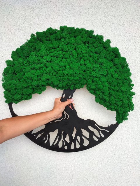 Drzewo życia z mchem chrobotkiem PREMIUM