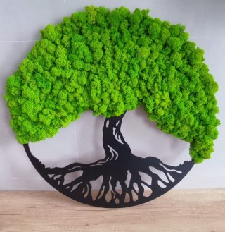 Drzewo życia z mchem chrobotkiem PREMIUM