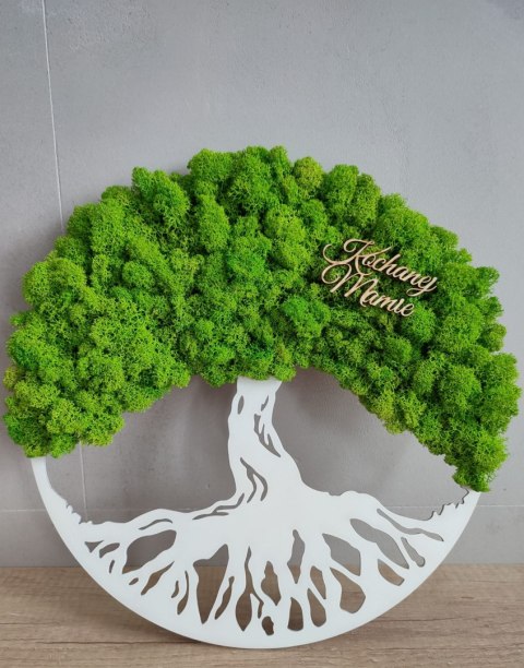 Drzewo życia z mchem chrobotkiem PREMIUM