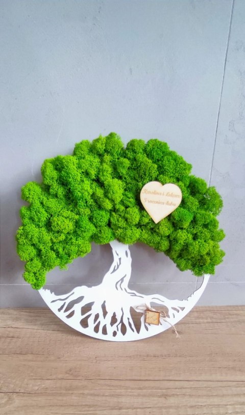 Drzewo życia z mchem chrobotkiem PREMIUM