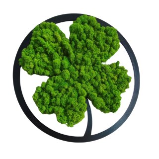 Koniczynka szczęścia z mchu chrobotka premium