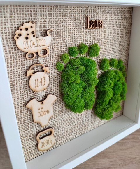 Metryczka urodzenia z mchem chrobotkiem dla chłopca lub dziewczynki