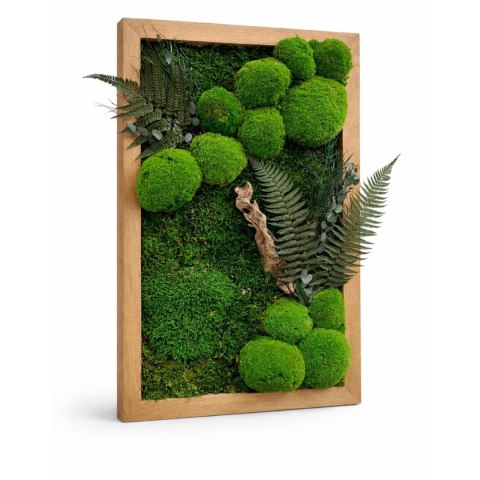 Obraz z mchu w dębowej ramie
