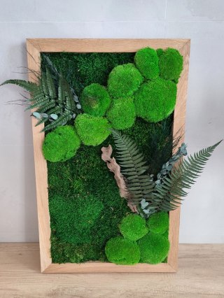 Obraz w dębowej ramie z mchu i roślin stabilizowanych