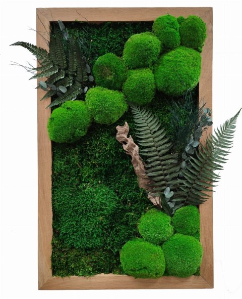 Obraz w dębowej ramie z mchu i roślin stabilizowanych