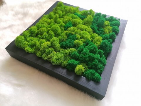 Obraz z chrobotka, 27x27 cm