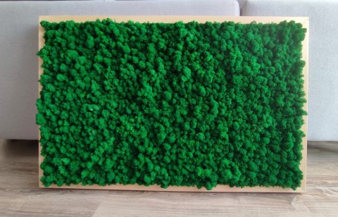 Obraz z chrobotka w drewnianej ramie 120x80cm