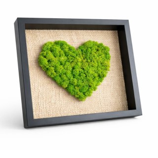 Obraz z mchem chrobotkiem, DUŻE SERCE, 25x25cm