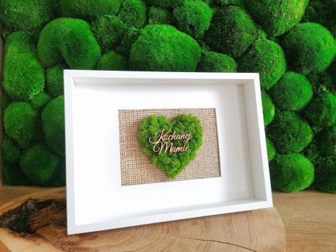 Obraz z mchem chrobotkiem, SERCE, 21x30