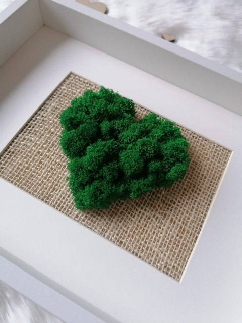 Obraz z mchem chrobotkiem, SERCE, 21x30