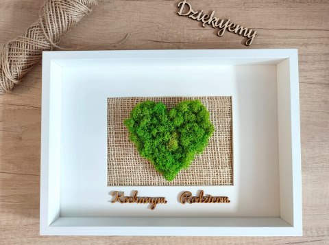 Obraz z mchem chrobotkiem, SERCE, 21x30