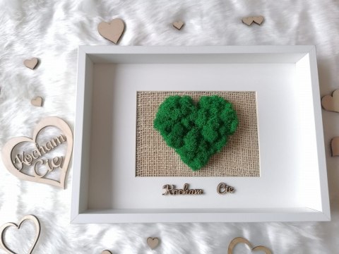 Obraz z mchem chrobotkiem na prezent