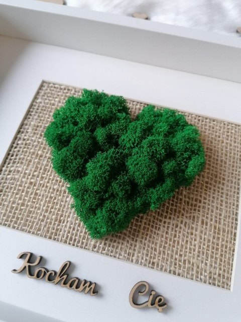 Obraz z mchem chrobotkiem na prezent