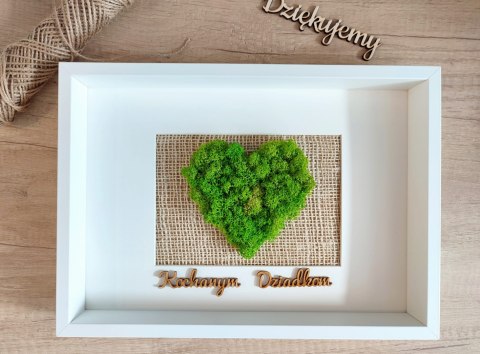 Obraz z mchem chrobotkiem na prezent