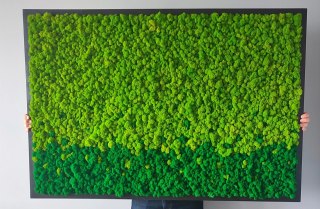Obraz z mchu chrobotka w drewnianej ramie 120x80cm