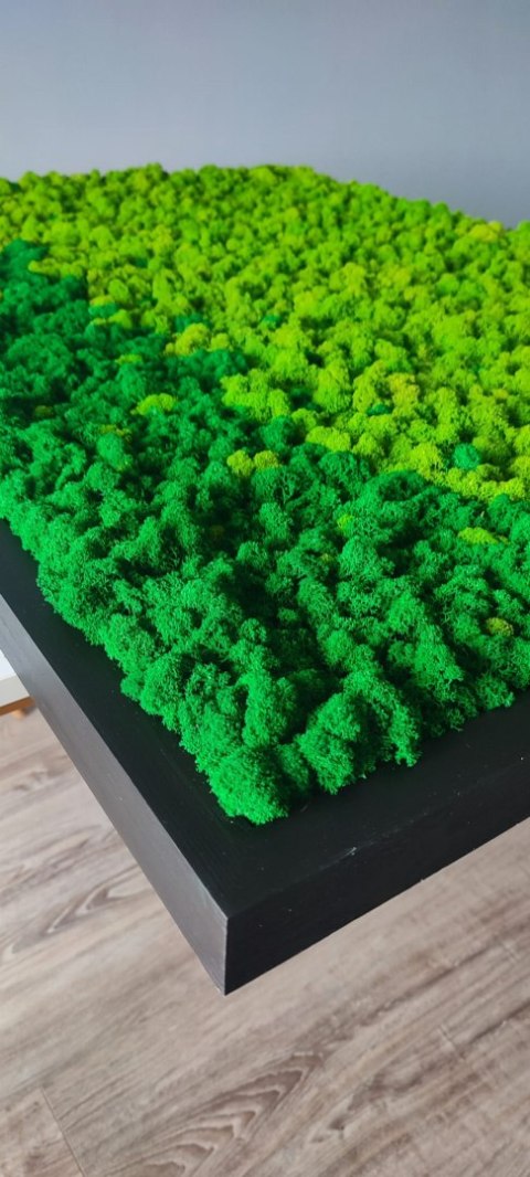 Obraz z mchu chrobotka w drewnianej ramie 120x80cm