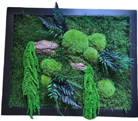 Obraz z mchu i roślin stabilizowanych 42x52cm