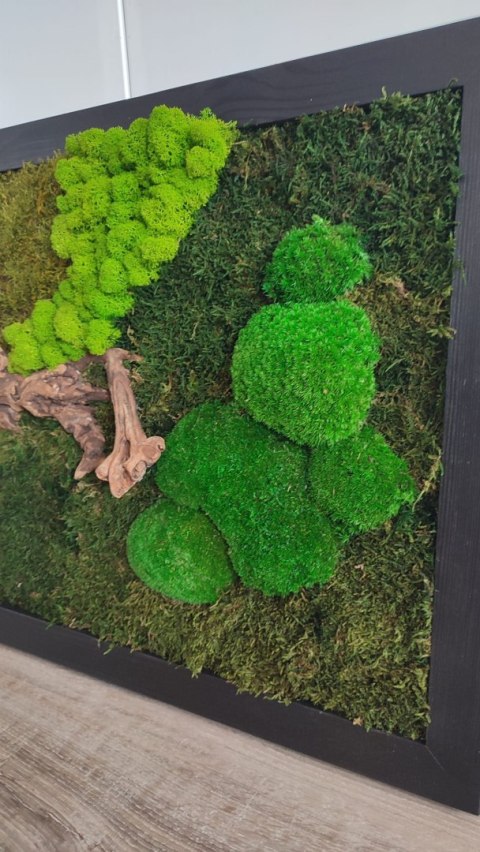 Obraz z mchu i roślin stabilizowanych w drewnianej ramie 80x50 cm