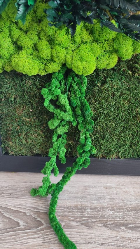 Obraz z mchu i roślin stabilizowanych w drewnianej ramie 80x50 cm