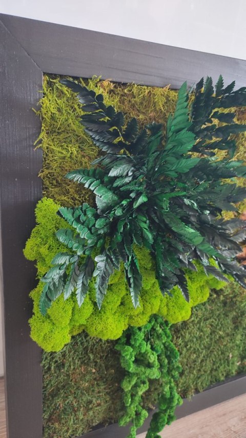 Obraz z mchu i roślin stabilizowanych w drewnianej ramie 80x50 cm