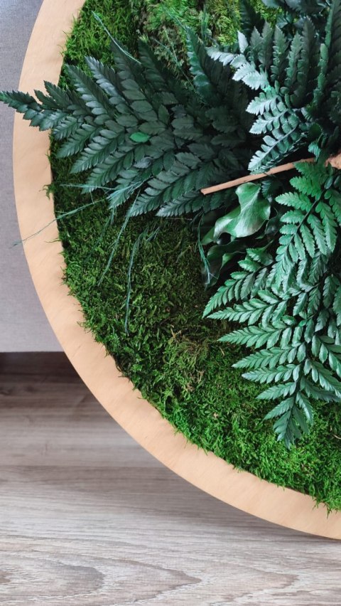 Obraz z mchu i roślin stabilizowanych w kole