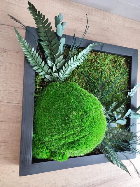 Obraz z mchu i roślin stabilizowanych