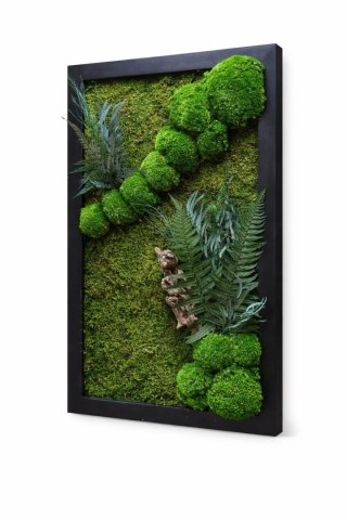 Obraz z mchu i roślin w drewnianej ramie 80x50 cm