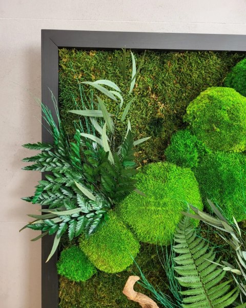 Obraz z mchu i roślin w drewnianej ramie 80x50 cm