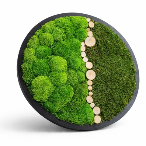 Obraz z mchu poduszkowego i płaskiego z dodatkami, 50 cm