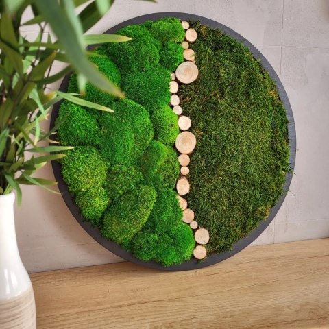 Obraz z mchu poduszkowego i płaskiego z dodatkami, 50 cm