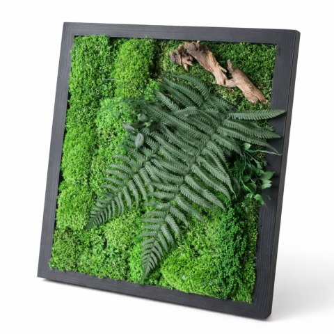 Obraz z mchu I roślin 