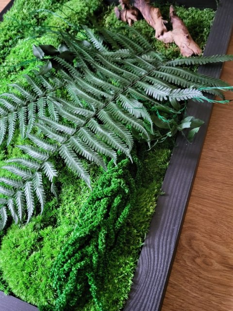 Obraz z mchu poduszkowego i roślin stabilizowanych 42x52