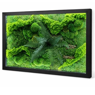 Obraz z mchu z podświetleniem LED