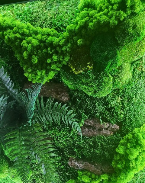 Obraz z mchu z podświetleniem LED