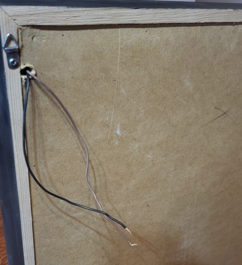 Obraz z mchu z podświetleniem LED