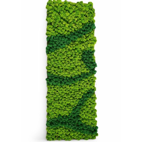 Panel z mchu chrobotka mix