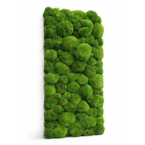 Panel z mchu poduszkowego PREMIUM, 100x50 cm