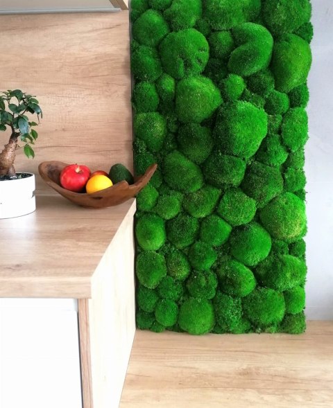 Panel z mchu poduszkowego PREMIUM, 100x50 cm