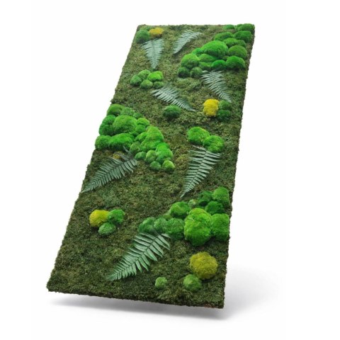 Panel z mchu i roślin