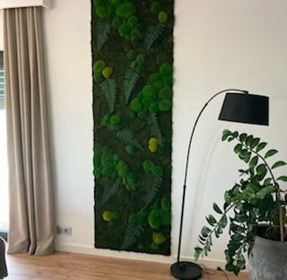 Panel z mchu poduszkowego i płaskiego z dodatkiem paproci