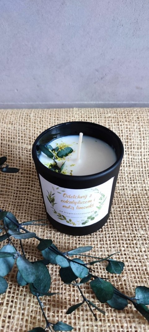 Świeca sojowa - eukaliptus z nutą limonki 160 ml