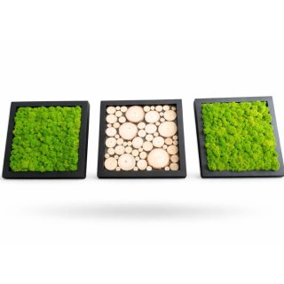 Tryptyk z mchu chrobotka i plastrów drewna, 27x27 cm