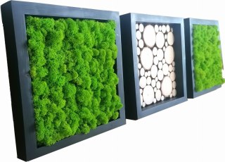 Tryptyk z mchu chrobotka i plastrów drewna, 27x27 cm